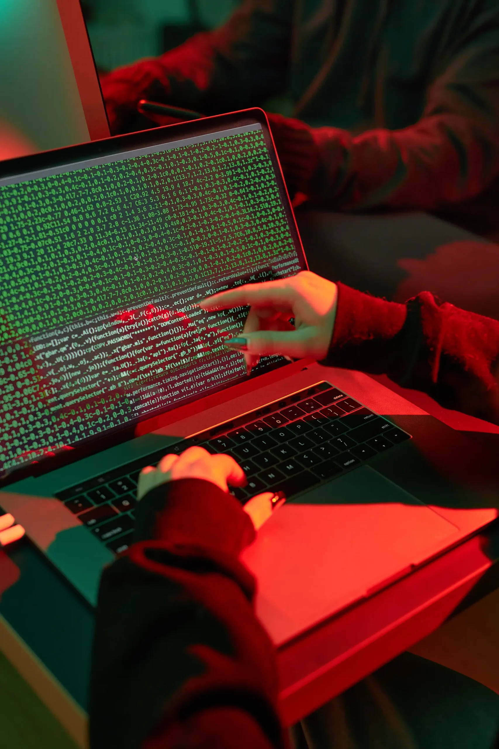 Vietbunny: The Latest In Online Privacy Breaches